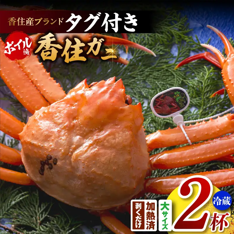《ボイル》 香住ガニ 大 タグ付き 2枚【令和8年11月以降発送予定】かに カニ 03-08