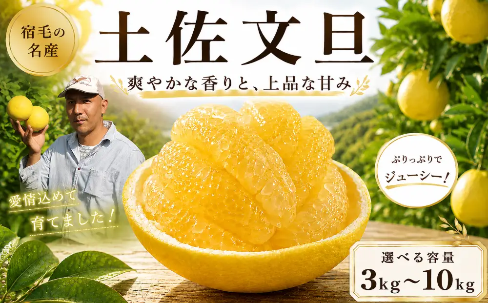 土佐文旦大玉 10kg 贈答用 文旦