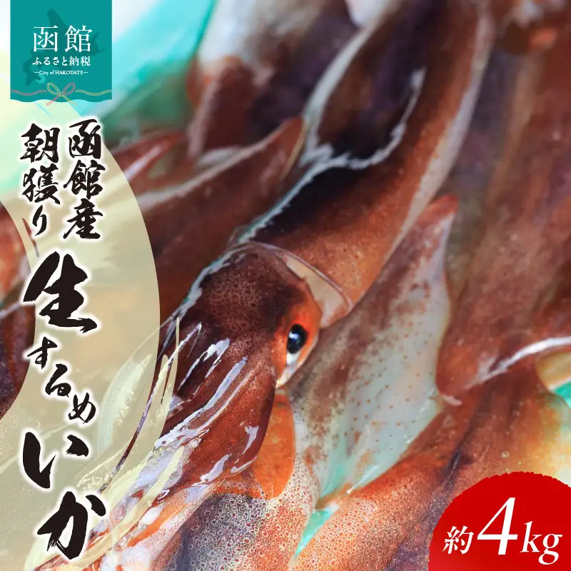 函館産 朝獲り 生するめいか 約 4kg 季節限定 イカ 生いか スルメイカ_HD010-007