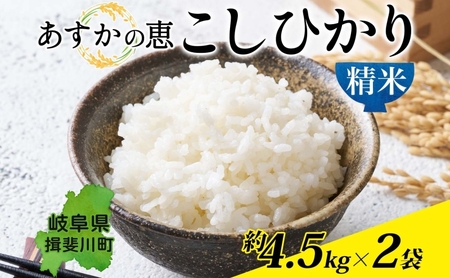 こしひかり あすかの恵 精米 真空パック こしひかり【約4.5kg×2袋】