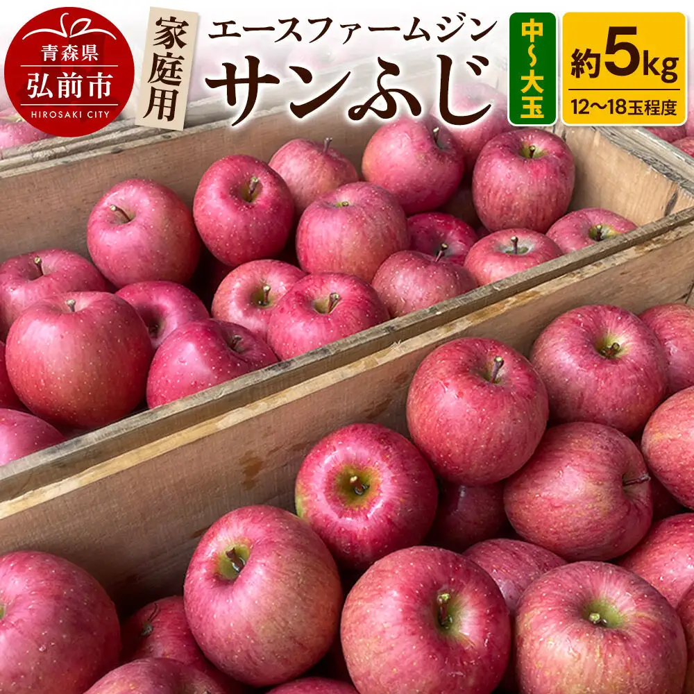 【26年11月発送】りんご【数量限定】家庭用 サンふじ 約5kg（中玉～大玉12～18玉程度）【先行受付】 青森 果物 フルーツ 林檎 リンゴ くだもの 予約