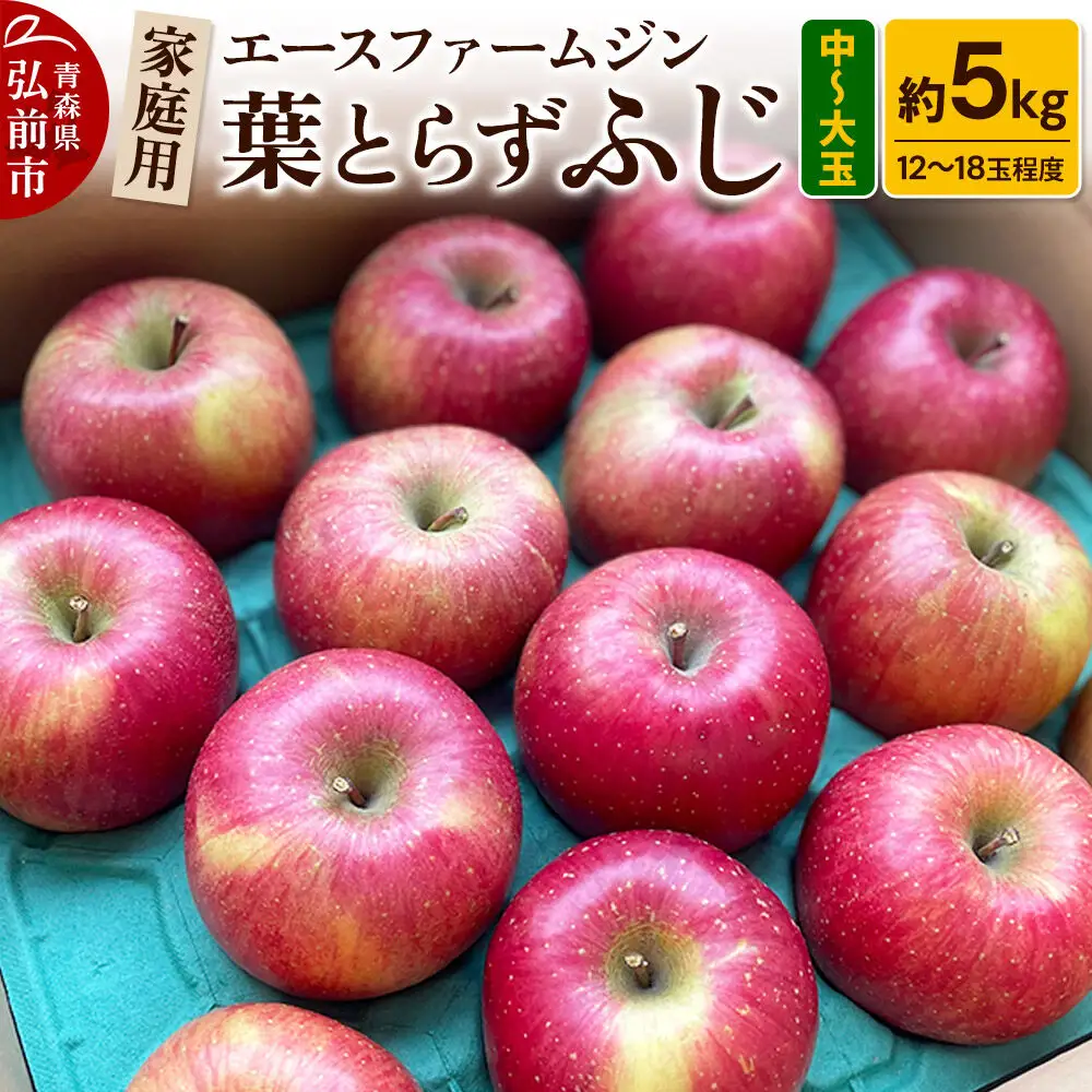 【26年11月発送】りんご【数量限定】家庭用 葉とらず ふじ 約5kg（中玉～大玉12～18玉程度）【先行受付】 青森 果物 フルーツ 林檎 リンゴ くだもの 予約