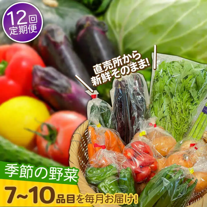 【12回定期便】野菜定期便 7?10品目 / ながさき南部 [SBW005] 
