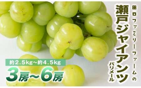 【田口ファミリーファーム】パリメール(瀬戸ジャイアンツ)3房~6房(約2.5kg~約4.5kg) N053-YZD0142