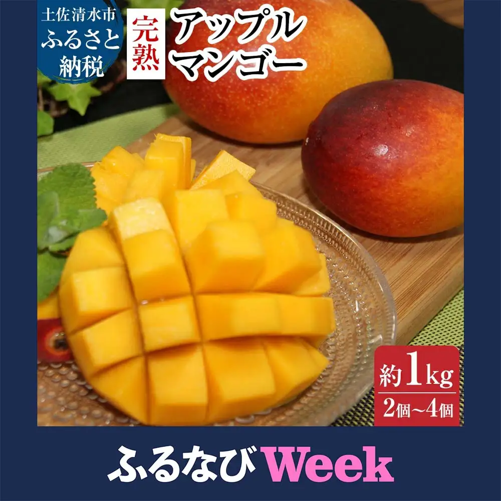 令和9年5月発送予定 完熟アップルマンゴー１kg（２個～４個入り）アーウィン種 南国フルーツ 果物 果汁 濃厚  樹上完熟マンゴー ギフト プレゼント 送料無料【R00520】