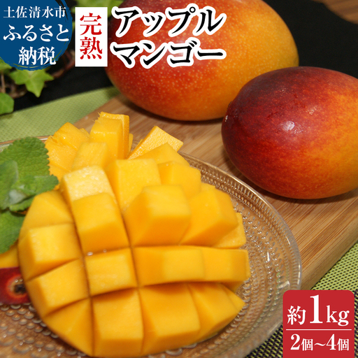 令和9年5月発送予定 完熟アップルマンゴー１kg（２個～４個入り）アーウィン種 南国フルーツ 果物 果汁 濃厚  樹上完熟マンゴー ギフト プレゼント 送料無料【R00520】