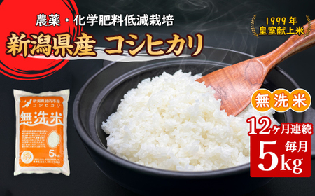 16-M5Z【12ヶ月連続お届け】新潟県胎内市産コシヒカリ【無洗米】5kg