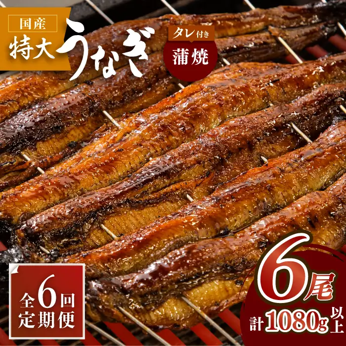 ふっくらジューシーのこだわりうなぎ【6回定期便】国産うなぎ蒲焼 6枚セット×6回 [FAD015]
