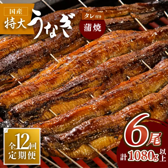 ふっくらジューシーのこだわりうなぎ【12回定期便】国産うなぎ蒲焼 6枚セット×12回[FAD016]