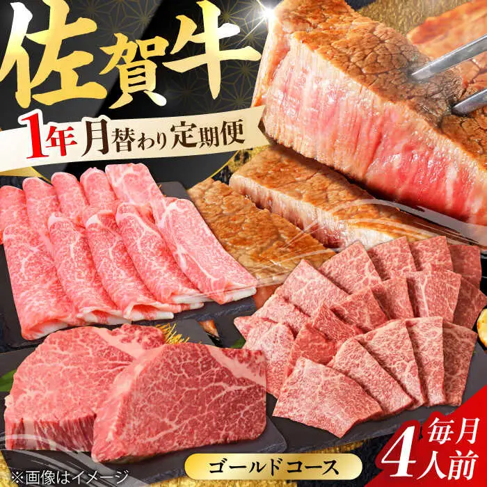 【全12回定期便】A4 A5 豪華 佐賀牛 ゴールドコース 総量15.2kg [FAY040]