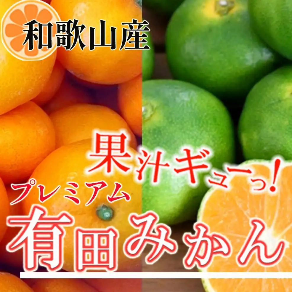 ［先行予約］プレミアム 有田みかん10kg+250g（傷み補償分）［2026年10月初旬から2027年1月末日頃順次発送予定］［IKE249］