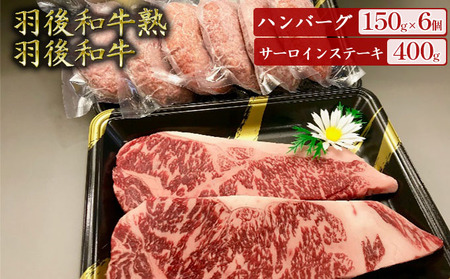 羽後和牛セット ハンバーグ熟サーロインステーキ 羽後和牛セット【ハンバーグ150g×6個 サーロイン400g】