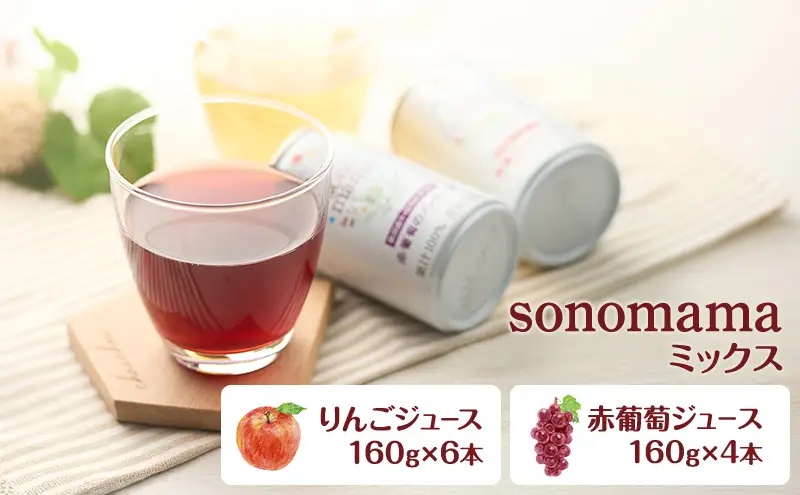 ジュースセット sonomamaりんご赤ぶどう ジュースセット【160g×10本】