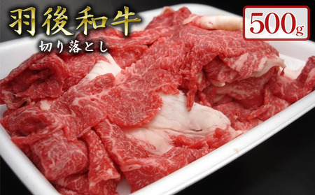 500gのボリューム！羽後和牛 切り落とし 