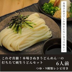 純生！これぞ真髄！本場さぬきうどんめん一の打ちたてうどんセット(6人前)【L-11】
