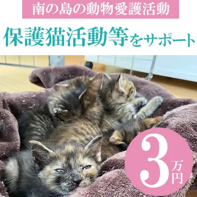 【南の島の動物愛護活動】保護猫活動等をサポート（3万円）- ねこ ネコ 地域猫 保護活動 支援 応援 さくらねこ 動物愛護 保護 里親 寄附のみ 沖縄県 八重瀬町