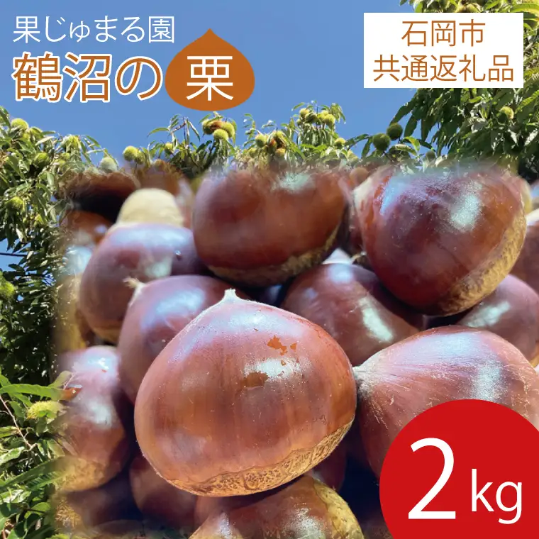栗 くり 石岡市産鶴沼の生栗 2kg