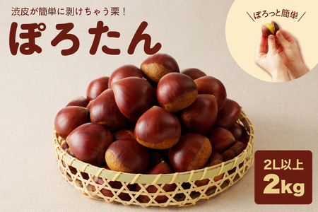 【期間限定】低温貯蔵 東美濃ぽろたん（生栗）東美濃農業協同組合【発送日10月末～12月上旬】 F4N-1960