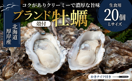 厚岸産 殻付カキLサイズ20個（生食用）マルえもん かき 牡蠣