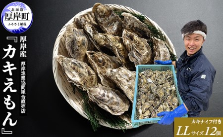 牡蠣 LLサイズ 12個 厚岸産 ブランドかき カキえもん 牡蠣
