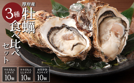 牡蠣 3種 食べ比べ セット 厚岸オイスター★オールスターズ 生食 殻付き 牡蠣