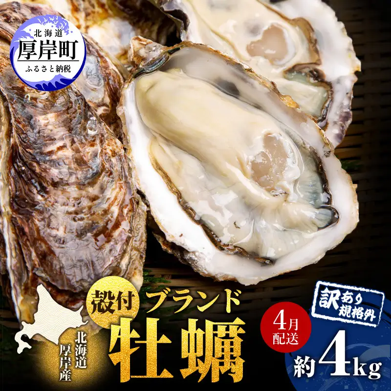 【4月発送 他月は別ページ】 牡蠣 厚岸産 訳あり 約4kg 生 牡蠣