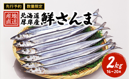 先行予約 刺身用 鮮さんま 2kg（16～20尾）産地直送 秋刀魚 サンマ