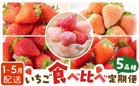 先行予約 2027年1月～発送 【5回定期便】いちご5品種食べ比べ / いちご [IAP010]