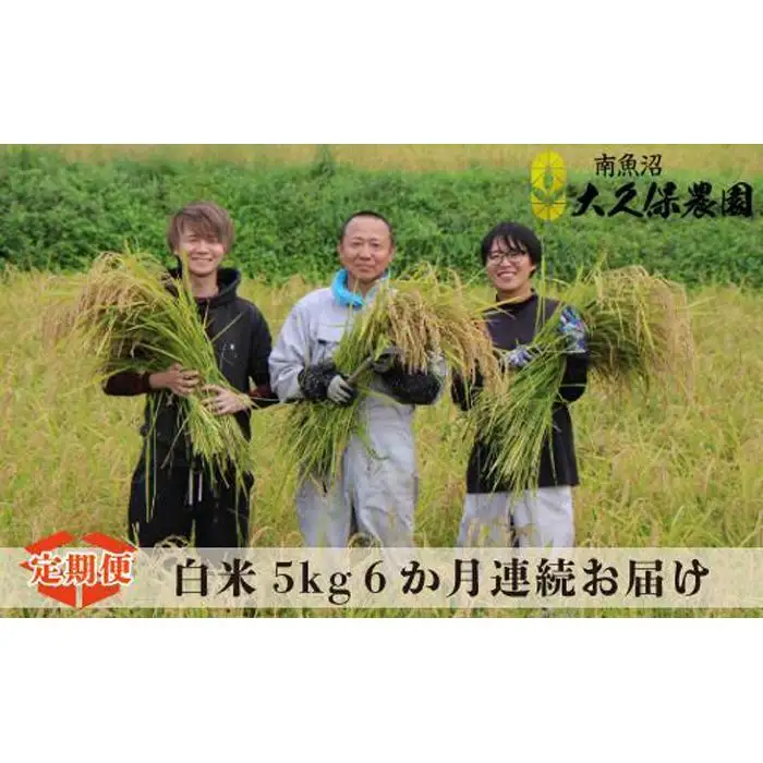 【令和8年産新米】【６ヶ月定期便】南魚沼産コシヒカリ　特別栽培米　八富米　　白米５ｋｇ×全6回　【2026年10月中旬から1ヶ月以内に順次発送予定】