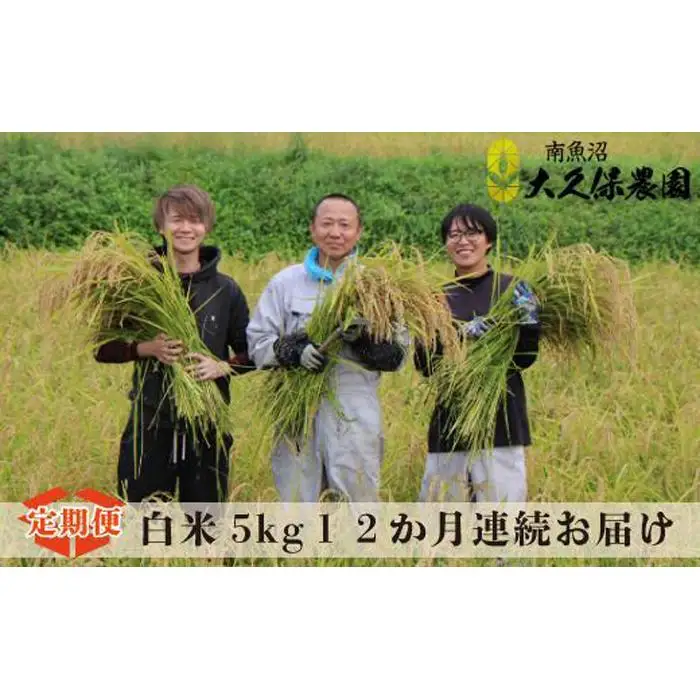 【令和8年産新米】【１２ヶ月定期便】南魚沼産コシヒカリ  特別栽培米　八富米　　白米５ｋｇ×全12回【2026年10月中旬から1ヶ月以内に順次発送予定】