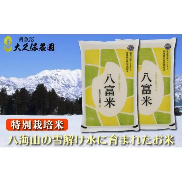 【令和8年産新米予約】南魚沼産コシヒカリ  特別栽培米　八富米　　八海山の雪解け水が育むお米　無洗米１０ｋｇ【2026年10月中旬から1ヶ月以内に順次発送予定】