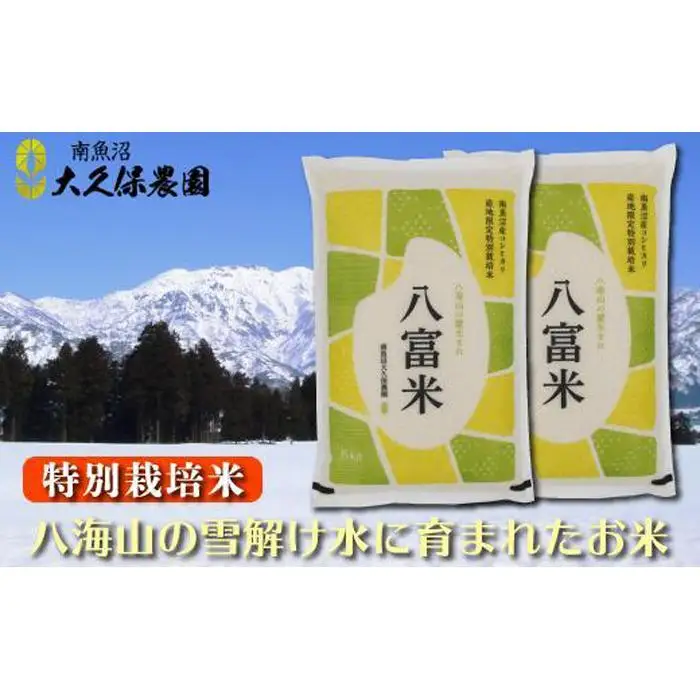 【令和8年産新米予約】南魚沼産コシヒカリ　特別栽培米　八富米　八海山の雪解け水が育むお米　白米１０ｋｇ【2026年10月中旬から1ヶ月以内に順次発送予定】
