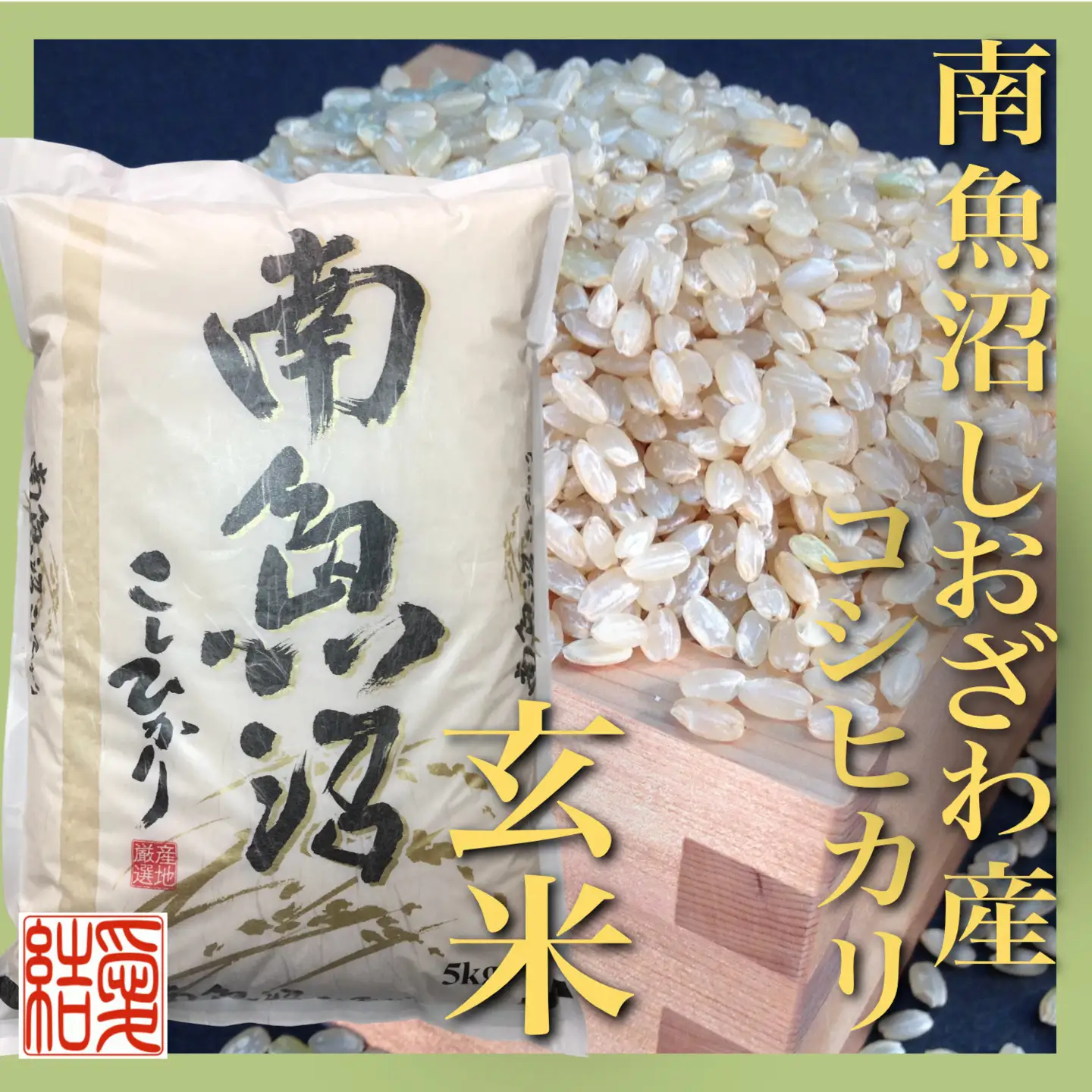【令和7年】【定期便】玄米 南魚沼しおざわ産コシヒカリ5Kg×6ヶ月｜玄米