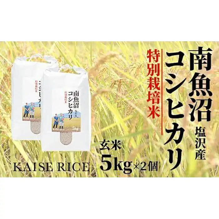 【令和8年産 新米】南魚沼産塩沢コシヒカリ【従来品種】（特別栽培米８割減農薬）玄米５ｋｇ×２個