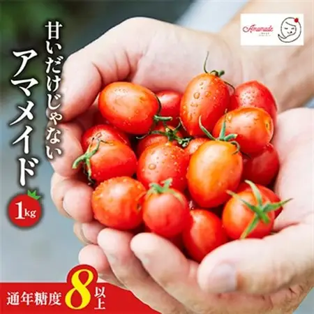 【1kg】ミニトマト 糖度8以上 アマメイド 　リピーター続出の人気野菜【1502576】