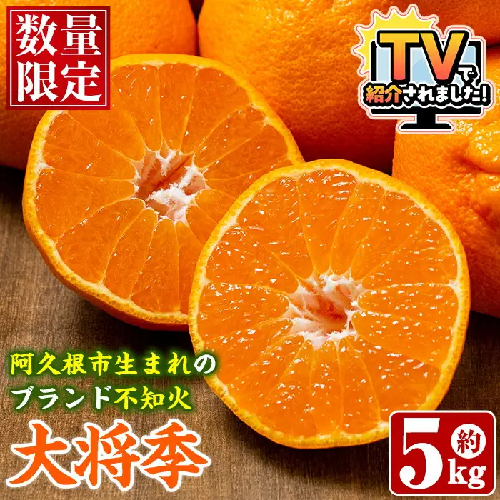 ＜先行予約受付中！2027年1月中旬以降順次発送予定＞ 阿久根市で生まれたオリジナル品種「大将季」(約5kg・15～24玉) 果物 フルーツ 柑橘 果実 ハウス栽培 ギフト 【鹿児島いずみ農業協同組合】akn018-22