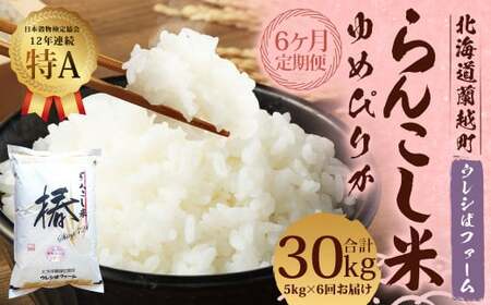 【6ヶ月定期便】らんこし米 (ゆめぴりか) 5kg (ウレシぱファーム) 【2024年10月下旬発送開始】 