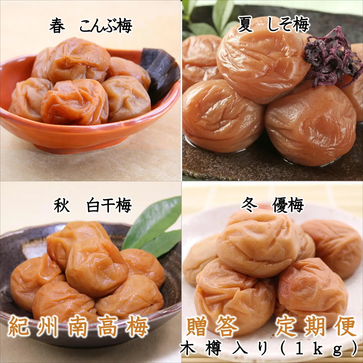 【8023-4】御坊市　紀州南高梅の贈答定期便（春・夏・秋・冬）4回　B