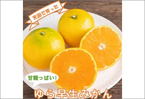 【0771-3】希少！天田で育ったゆら早生みかん（紀州和歌山）A級5kg