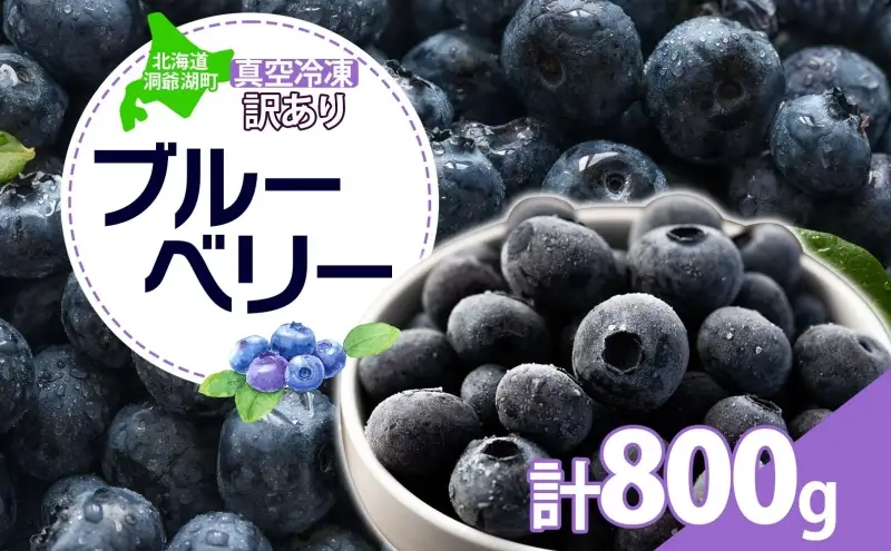 訳あり ブルーベリー 800g 冷凍 フルーツ ブルーベリー