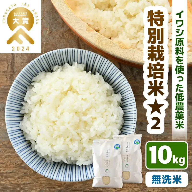 【先行予約】【令和8年産】 特別栽培米 コシヒカリ 無洗米 10kg （5kg×2袋） 低農薬 / 北陸 福井県産 あわら市 ブランド米 白米 お米 コメ 特栽米 ※2026年9月下旬以降順次発送 [aw056-b002]