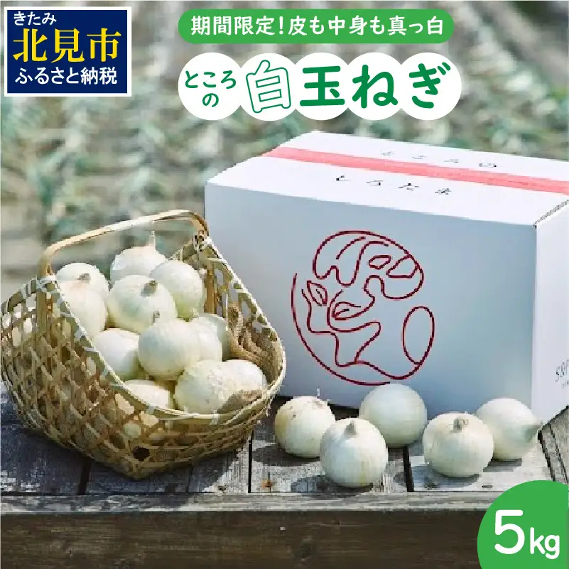 【予約：2026年7月中旬から順次発送】ところの白玉ねぎ 5kg ( 玉ねぎ タマネギ 玉葱 野菜 白玉ねぎ 5キロ 期間限定 辛みが少ない 生食 )【121-0005-2026】
