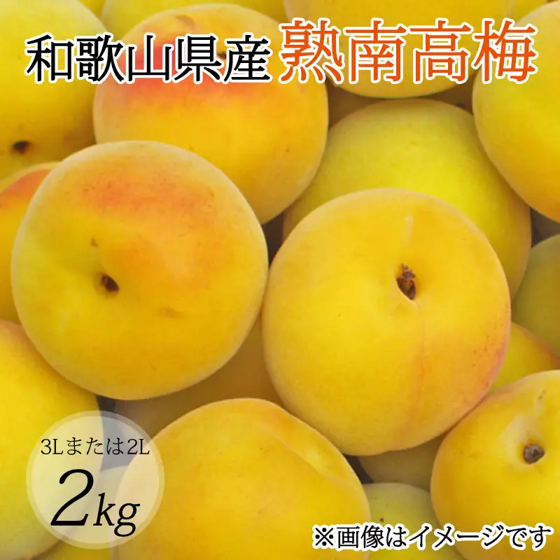 【梅干・梅酒用】（3Lまたは2L－2Kg）熟南高梅＜2027年6月上旬～7月上旬ごろに順次発送予定＞【art008B】