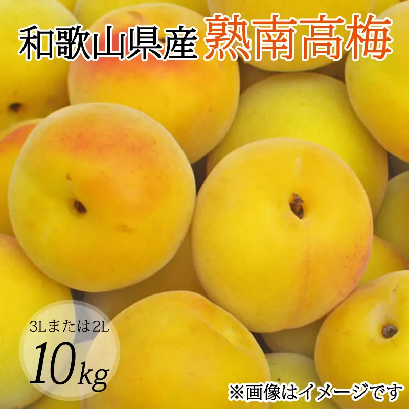 【梅干・梅酒用】（3Lまたは2L－10Kg）熟南高梅＜2027年6月上旬～7月上旬ごろに順次発送予定＞【art009C】