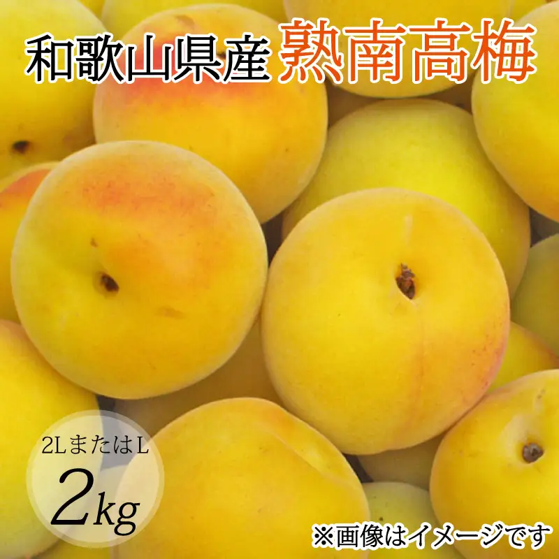 【梅干・梅酒用】（2LまたはL－2Kg）熟南高梅＜2027年6月上旬～7月上旬ごろに順次発送予定＞【art010B】