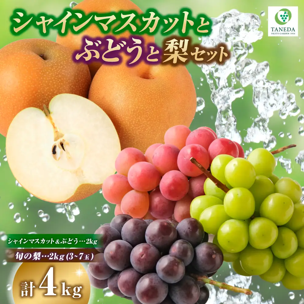 シャインマスカット 等と 梨 セット 計4kg