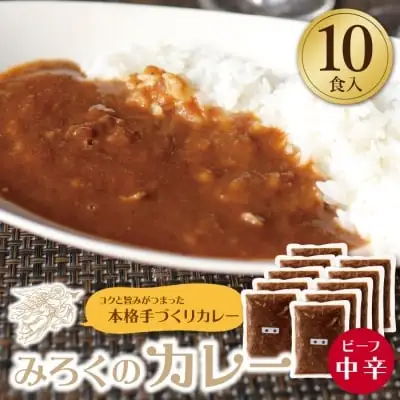 Z27-02 みろくのカレー10食（中辛） カレー