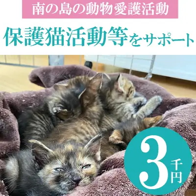 【南の島の動物愛護活動】保護猫活動等をサポート（3千円）- ねこ ネコ 地域猫 保護活動 支援 応援 さくらねこ 動物愛護 保護 里親 寄附のみ 沖縄県 八重瀬町