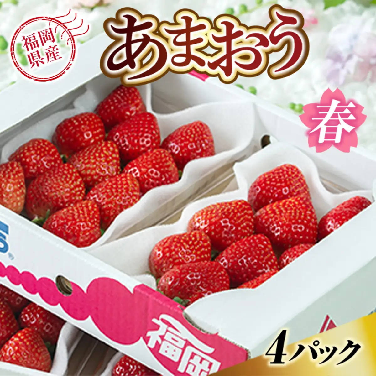 いちご あまおう 春 4パック いちご