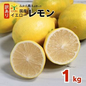 訳あり レモン 1kg 愛媛県 愛南町 みかん職人武田屋【レモン】